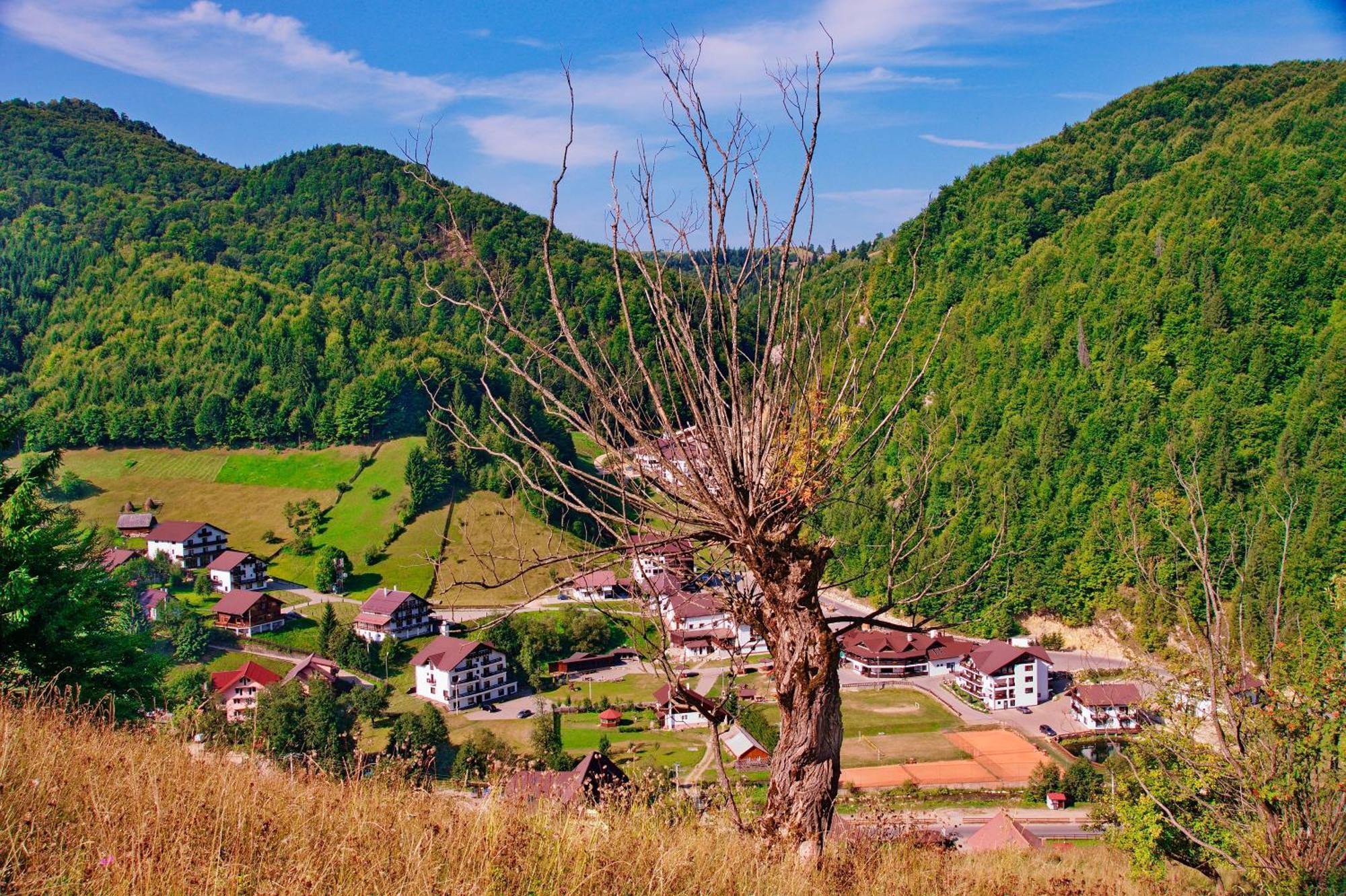 Resort Cheile Gradistei Moieciu Moeciu De Sus Exterior foto